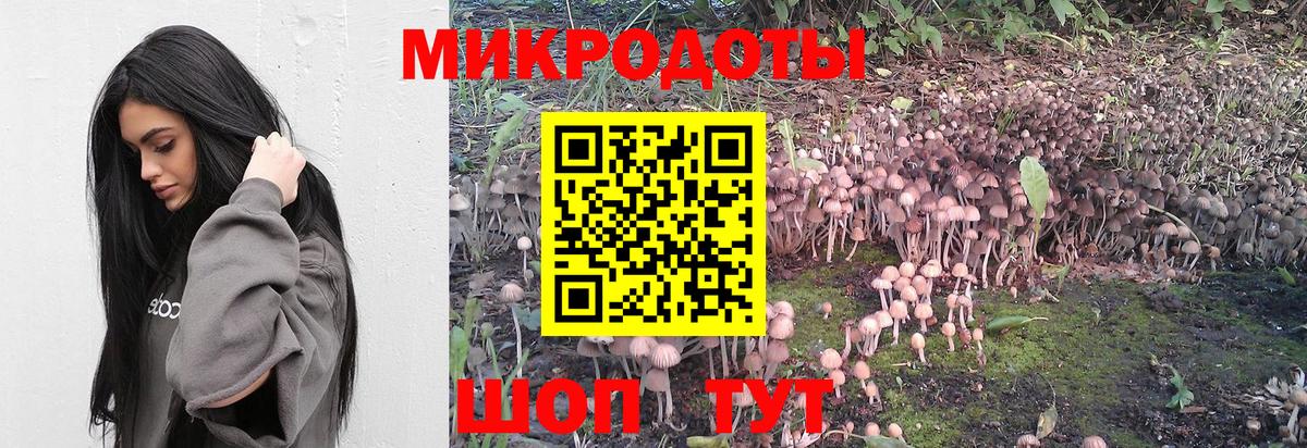 Галлюциногенные грибы ЛСД Борзя